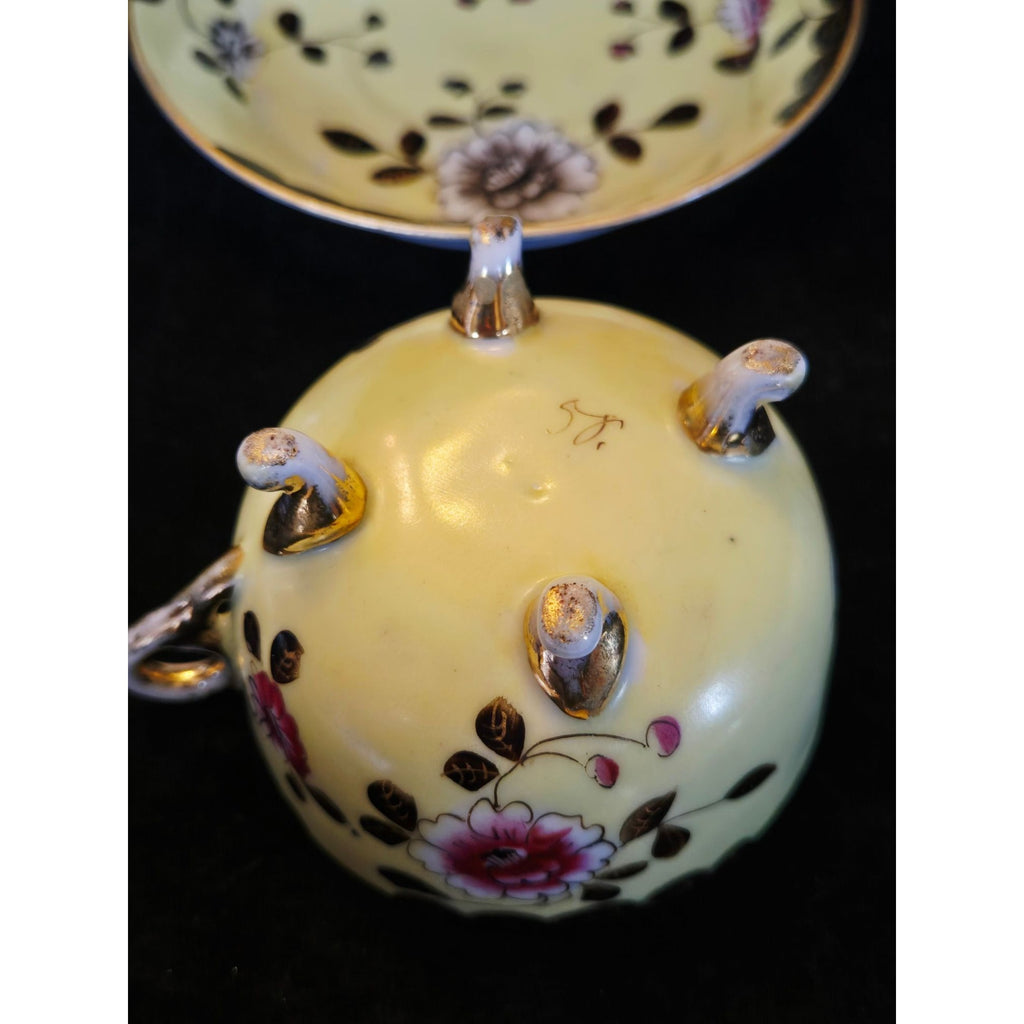 Antique Altrohau Czech Chinoiserie Floral Footed Teacup & Saucer Hand Painted