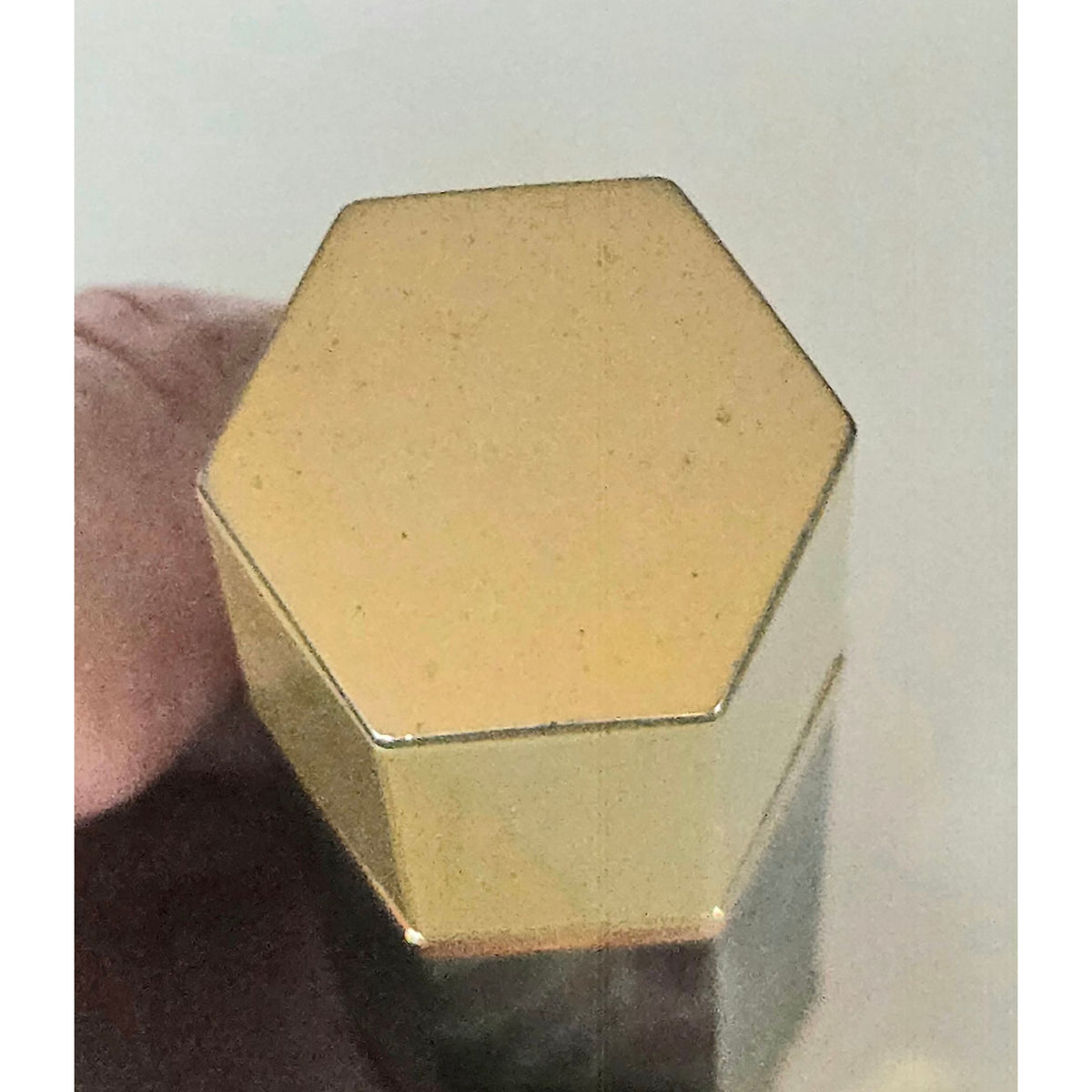 Christian Dior Poison Refillable Hexagonal Bottle case