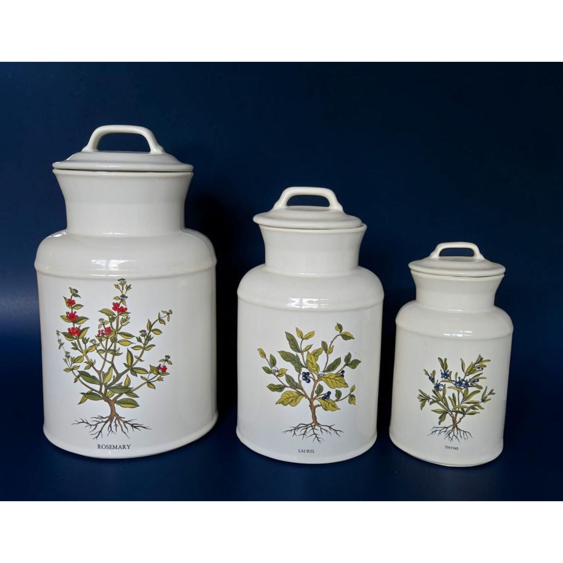 MCCOY Milk Jug Canister Set - Rosemary Laurel Thyme herb theme - floral Kitchen Storage With Lids