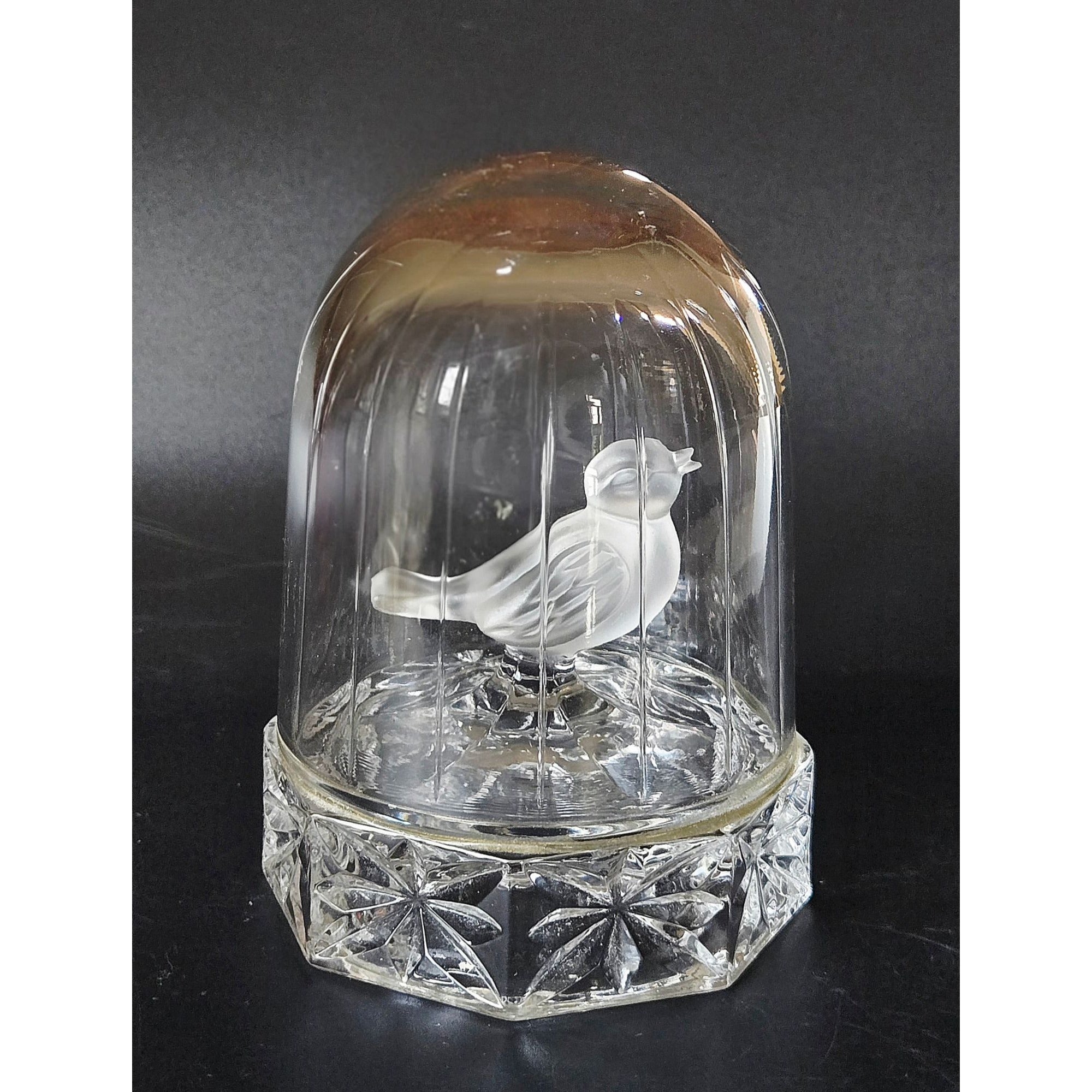Hofbauer Byrdes Crystal Bird in Cage Germany