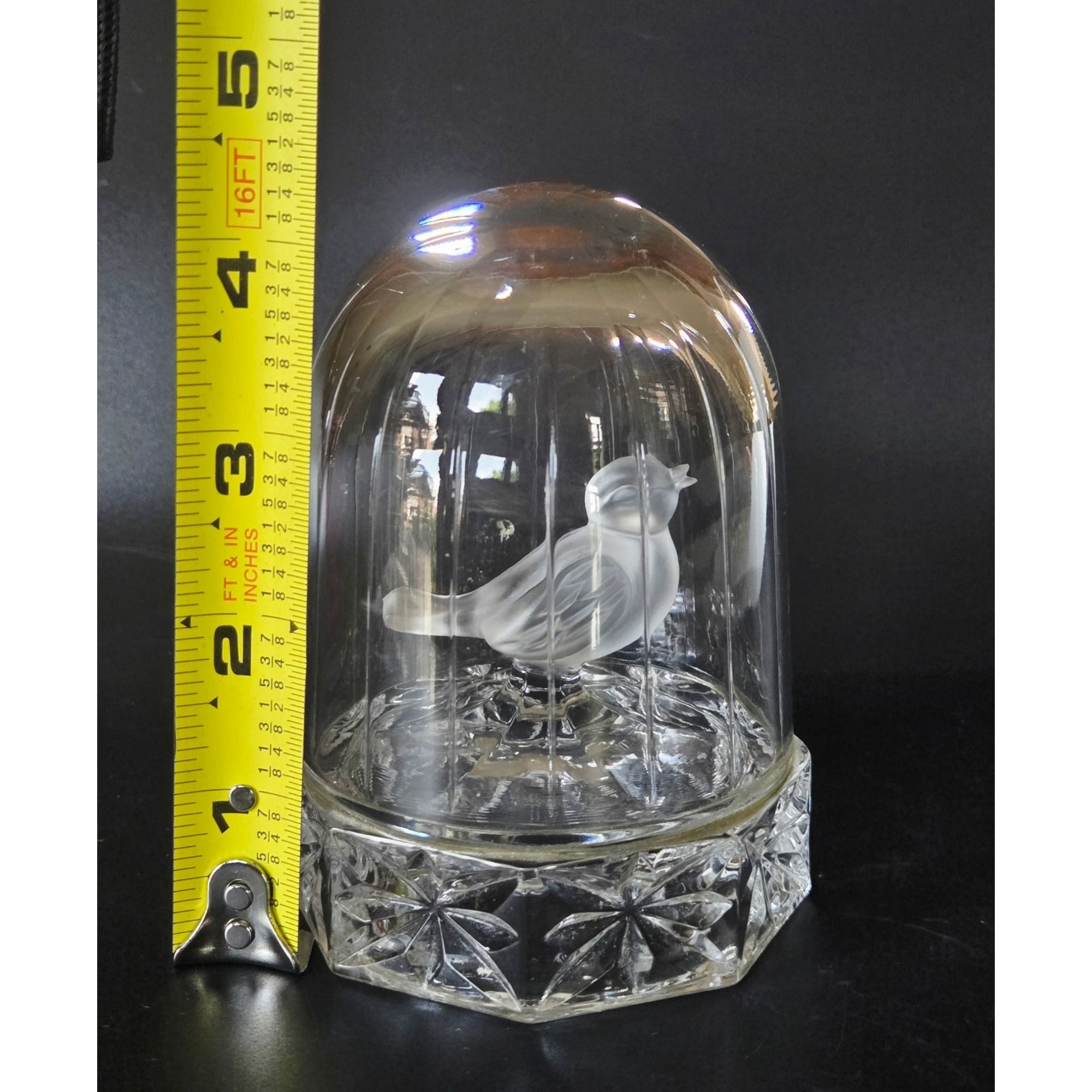 Hofbauer Byrdes Crystal Bird in Cage Germany