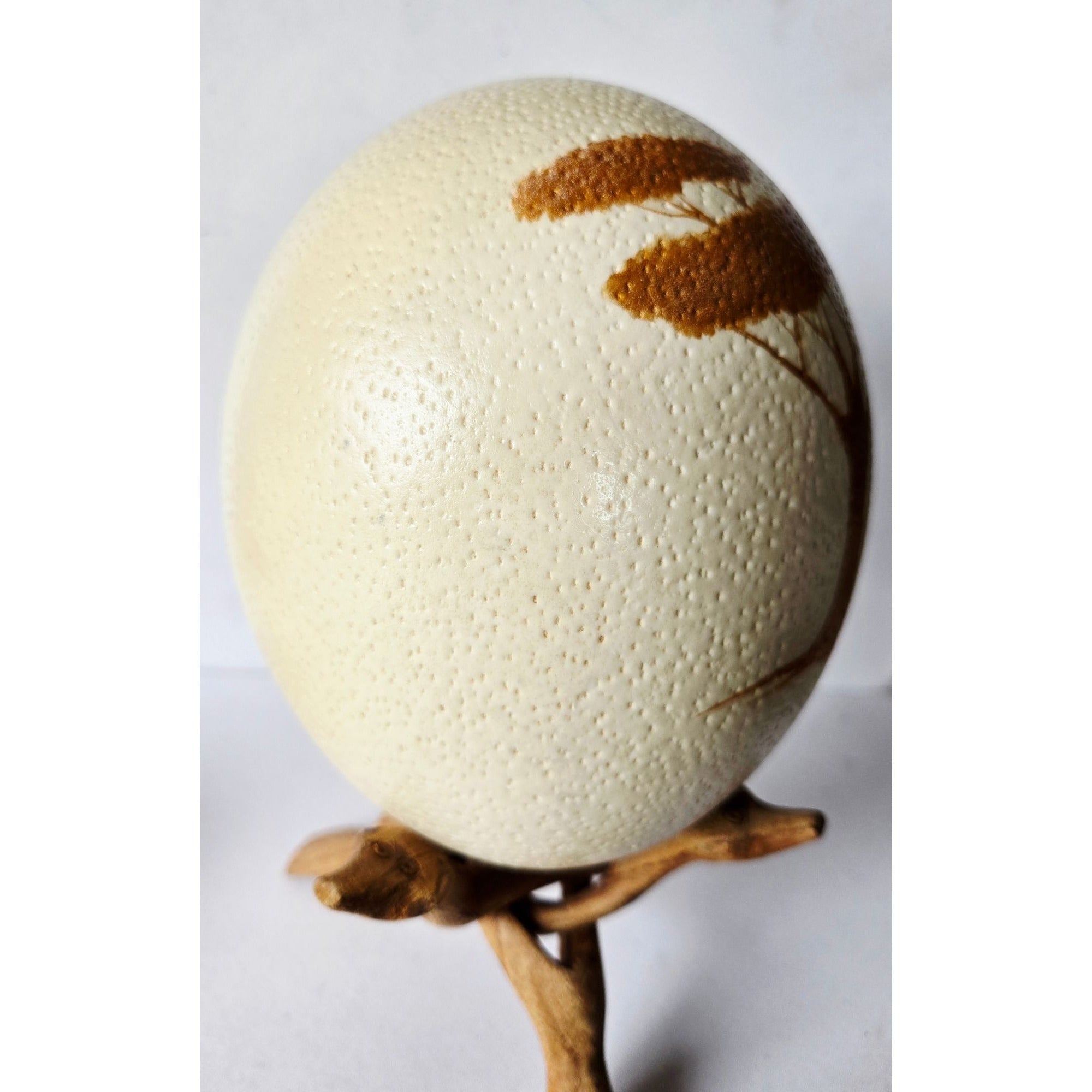 Hand-Painted Ostrich Egg W/ Wooden Stand Wildlife Art Featuring Tree & Ostrich