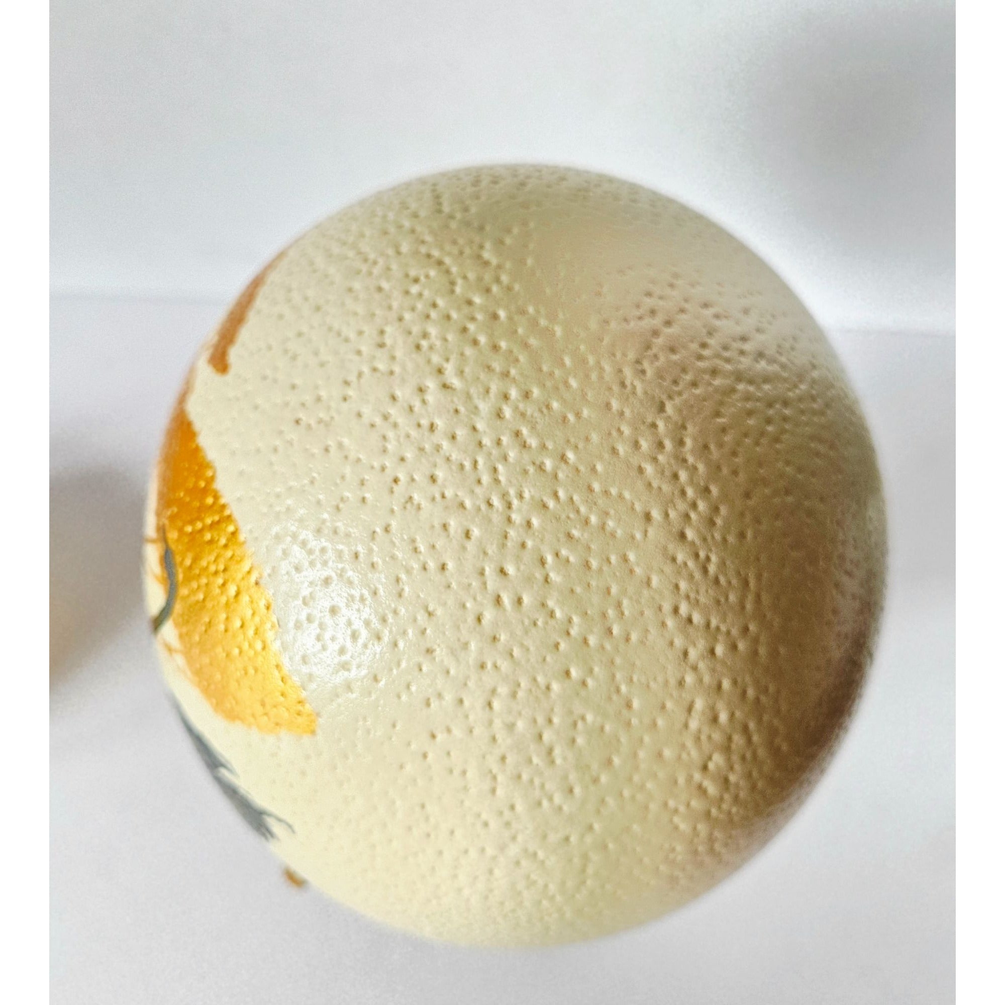 Hand-Painted Ostrich Egg W/ Wooden Stand Wildlife Art Featuring Tree & Ostrich