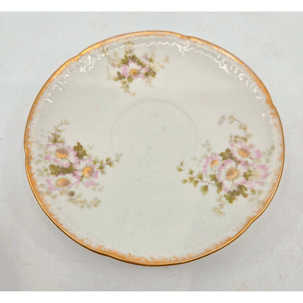 Haviland Limoges Pink Floral Porcelain Teacup