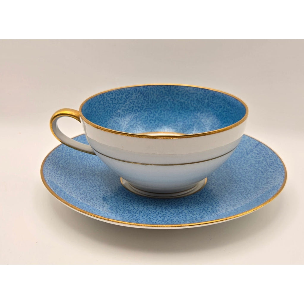 Ahrenfeldt Limoges Blue & Pink Tea Cup & Saucer Floral Made In France