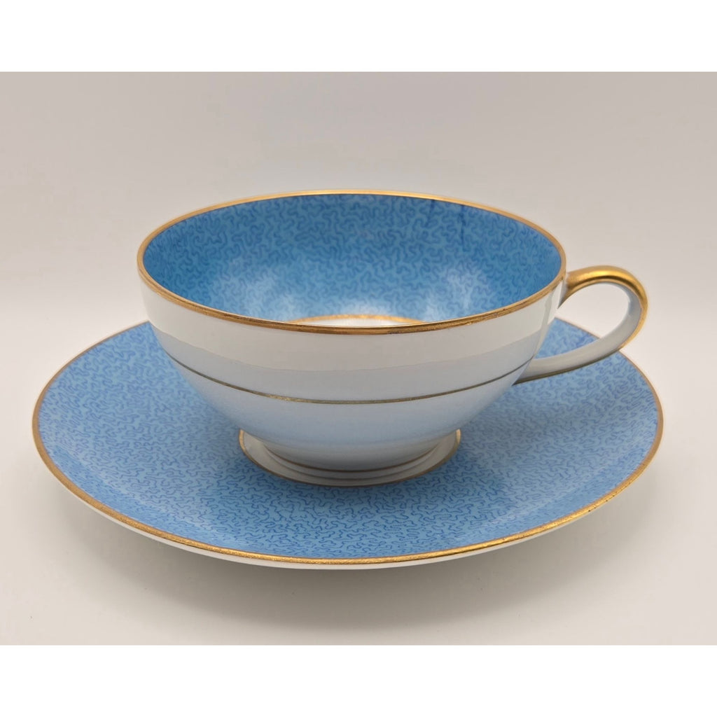 Ahrenfeldt Limoges Blue & Pink Tea Cup & Saucer Floral Made In France