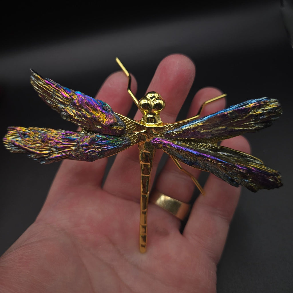 Titanium Kyanite Dragonfly Iridescent Mineral, Crystal Decorative Collectible