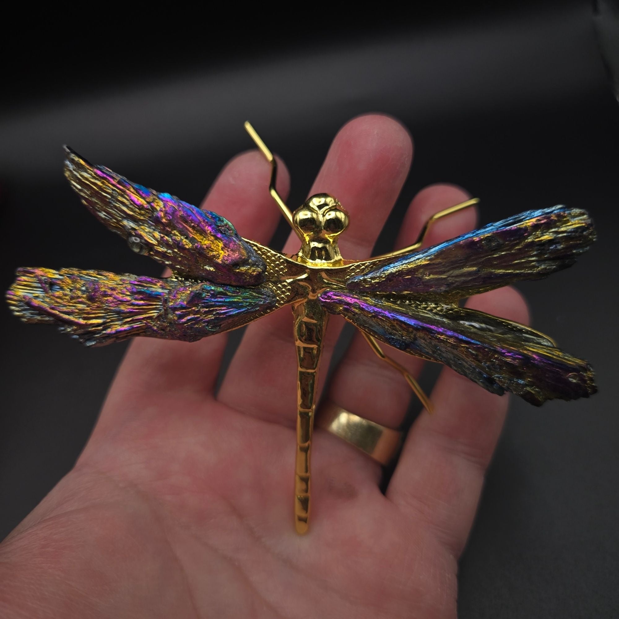 Titanium Kyanite Dragonfly Iridescent Mineral, Crystal Decorative Collectible