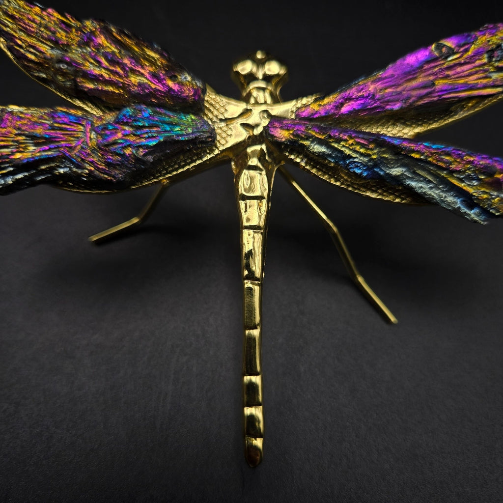 Titanium Kyanite Dragonfly Iridescent Mineral, Crystal Decorative Collectible