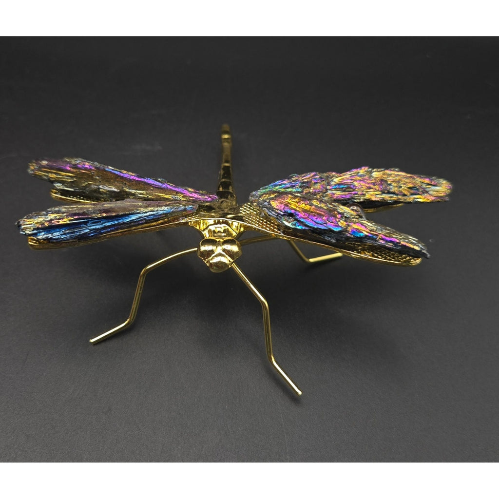 Titanium Kyanite Dragonfly Iridescent Mineral, Crystal Decorative Collectible