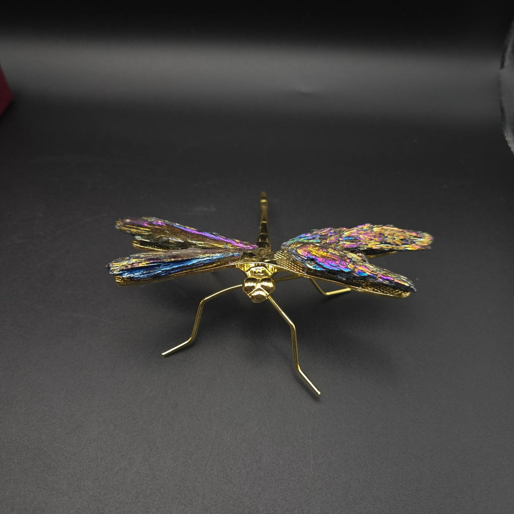 Titanium Kyanite Dragonfly Iridescent Mineral, Crystal Decorative Collectible