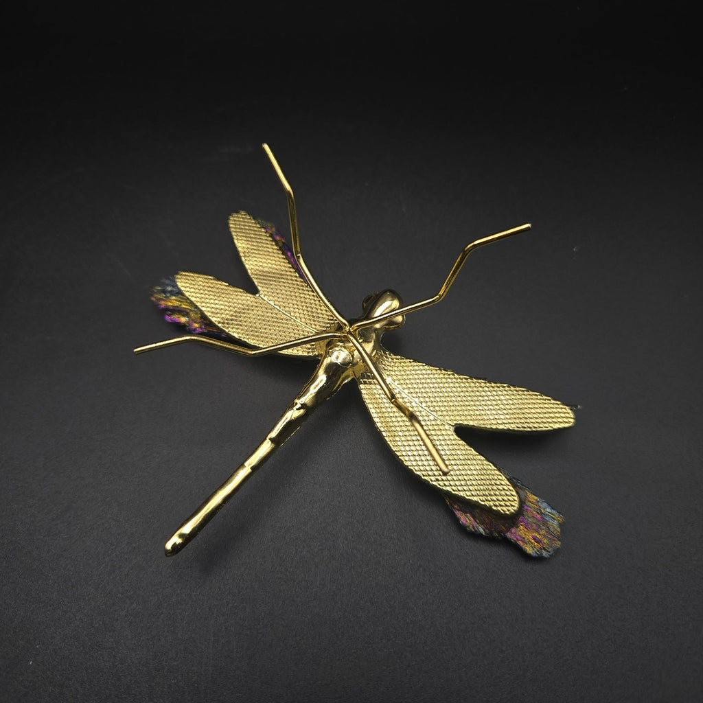 Titanium Kyanite Dragonfly Iridescent Mineral, Crystal Decorative Collectible