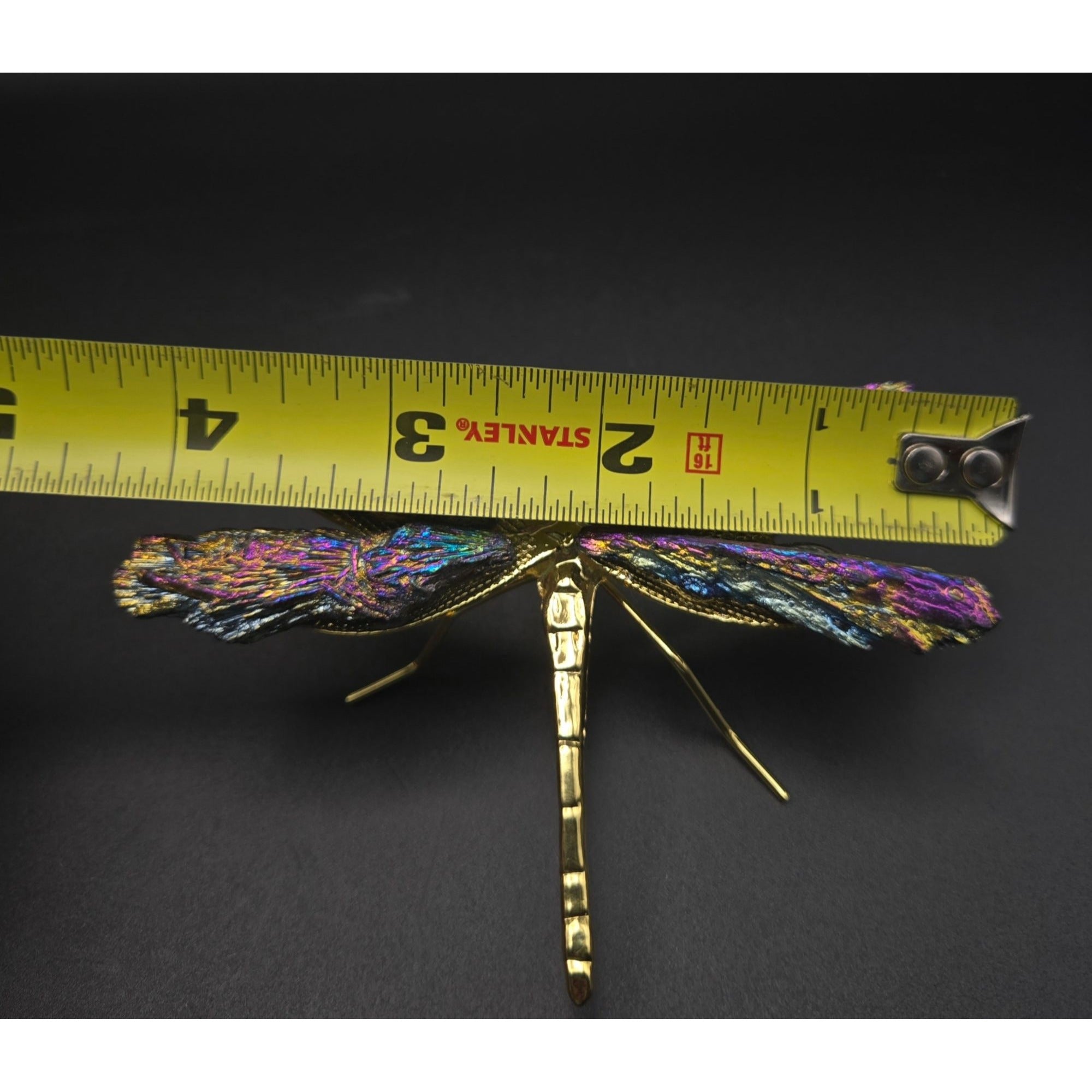 Titanium Kyanite Dragonfly Iridescent Mineral, Crystal Decorative Collectible