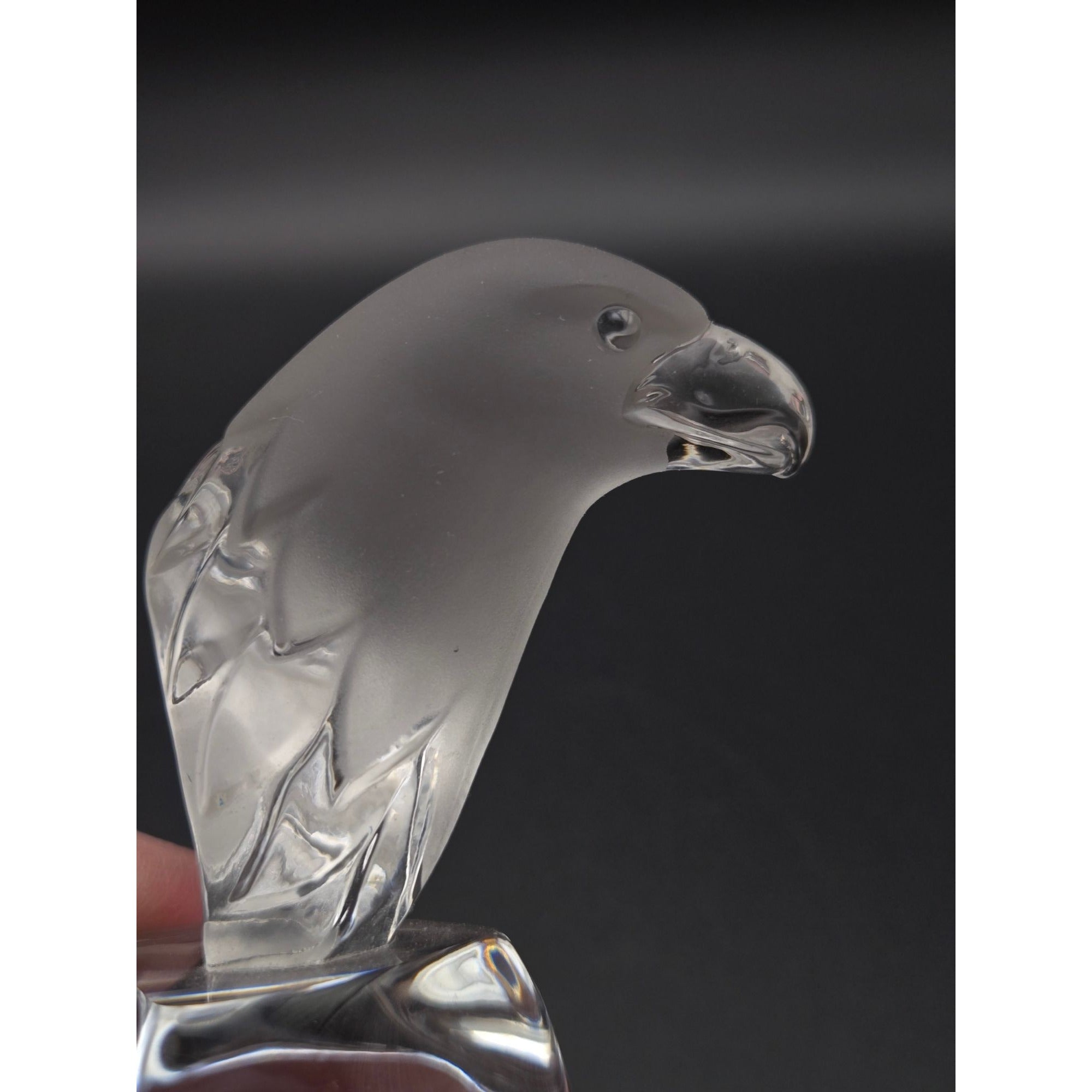 Swarovski Brand Crystal Eagle Bust Designed for Ebeling & Reuss